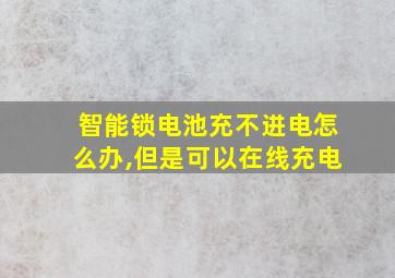 智能锁电池充不进电怎么办,但是可以在线充电