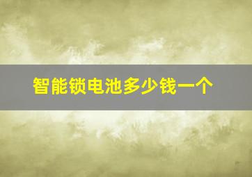 智能锁电池多少钱一个