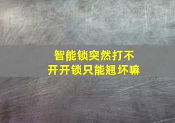 智能锁突然打不开开锁只能翘坏嘛