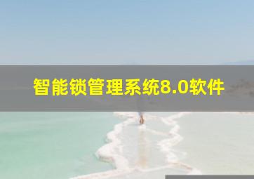 智能锁管理系统8.0软件