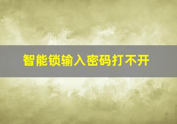 智能锁输入密码打不开