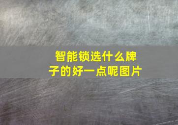 智能锁选什么牌子的好一点呢图片