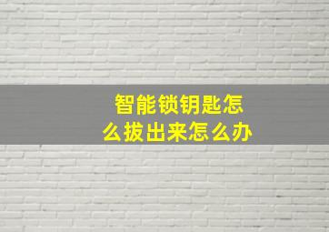 智能锁钥匙怎么拔出来怎么办