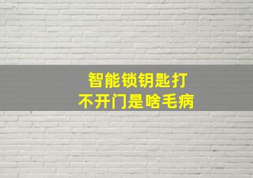 智能锁钥匙打不开门是啥毛病