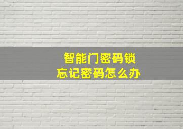 智能门密码锁忘记密码怎么办