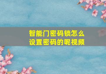 智能门密码锁怎么设置密码的呢视频