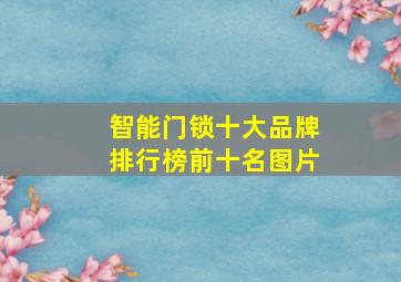 智能门锁十大品牌排行榜前十名图片