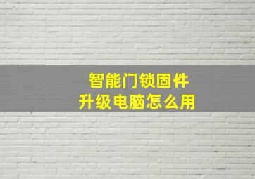 智能门锁固件升级电脑怎么用