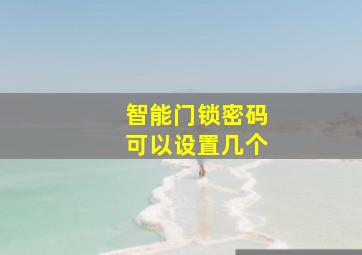 智能门锁密码可以设置几个