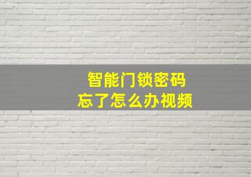 智能门锁密码忘了怎么办视频