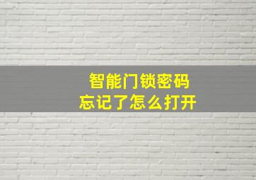 智能门锁密码忘记了怎么打开