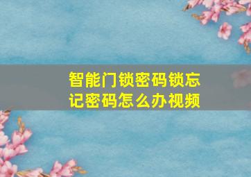 智能门锁密码锁忘记密码怎么办视频