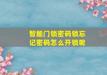 智能门锁密码锁忘记密码怎么开锁呢