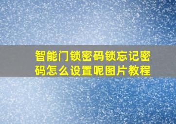 智能门锁密码锁忘记密码怎么设置呢图片教程