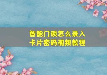 智能门锁怎么录入卡片密码视频教程