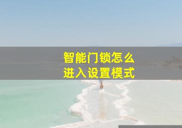 智能门锁怎么进入设置模式