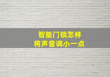 智能门锁怎样将声音调小一点