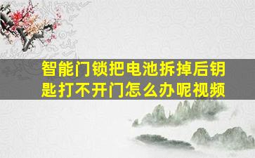 智能门锁把电池拆掉后钥匙打不开门怎么办呢视频