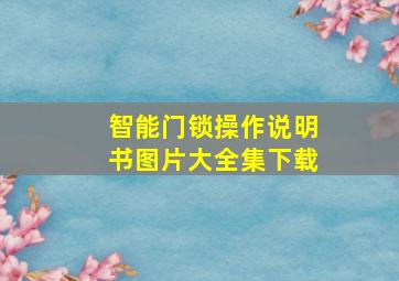 智能门锁操作说明书图片大全集下载