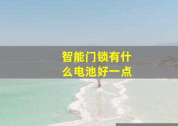 智能门锁有什么电池好一点