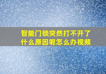 智能门锁突然打不开了什么原因呢怎么办视频