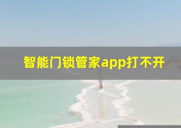 智能门锁管家app打不开