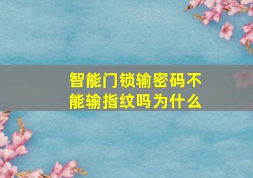 智能门锁输密码不能输指纹吗为什么