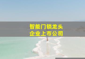 智能门锁龙头企业上市公司