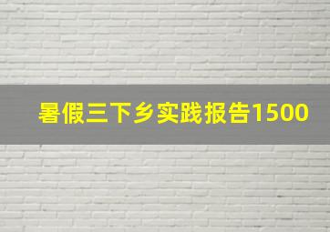 暑假三下乡实践报告1500