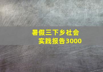 暑假三下乡社会实践报告3000