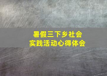 暑假三下乡社会实践活动心得体会