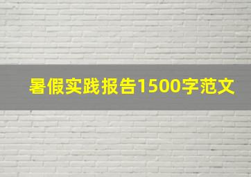 暑假实践报告1500字范文