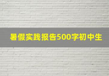 暑假实践报告500字初中生