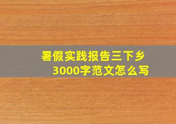 暑假实践报告三下乡3000字范文怎么写