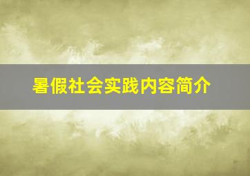 暑假社会实践内容简介