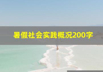 暑假社会实践概况200字