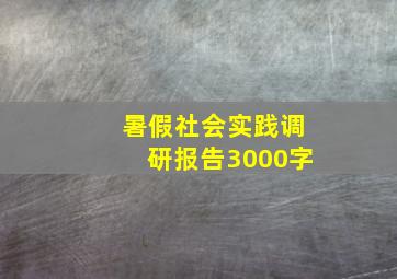 暑假社会实践调研报告3000字