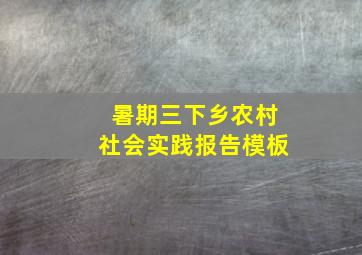 暑期三下乡农村社会实践报告模板