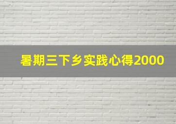 暑期三下乡实践心得2000