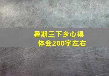 暑期三下乡心得体会200字左右