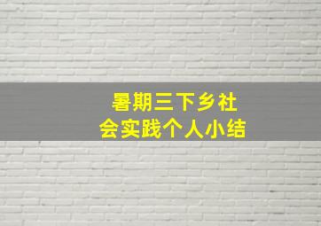 暑期三下乡社会实践个人小结