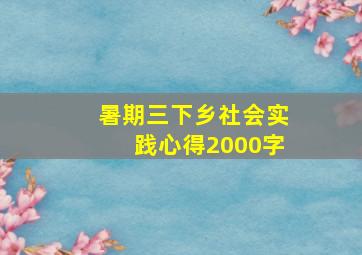 暑期三下乡社会实践心得2000字