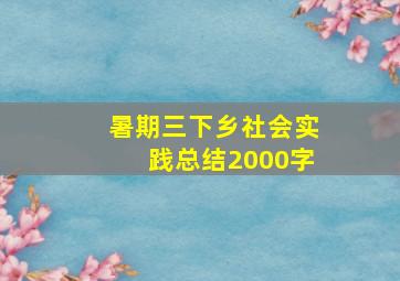 暑期三下乡社会实践总结2000字