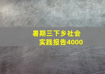 暑期三下乡社会实践报告4000