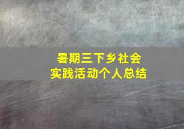 暑期三下乡社会实践活动个人总结