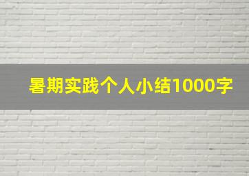 暑期实践个人小结1000字