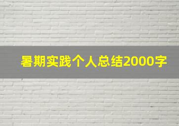 暑期实践个人总结2000字