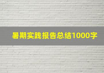 暑期实践报告总结1000字