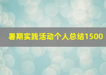 暑期实践活动个人总结1500