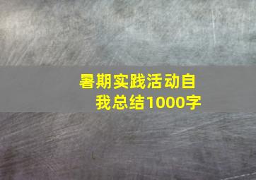 暑期实践活动自我总结1000字